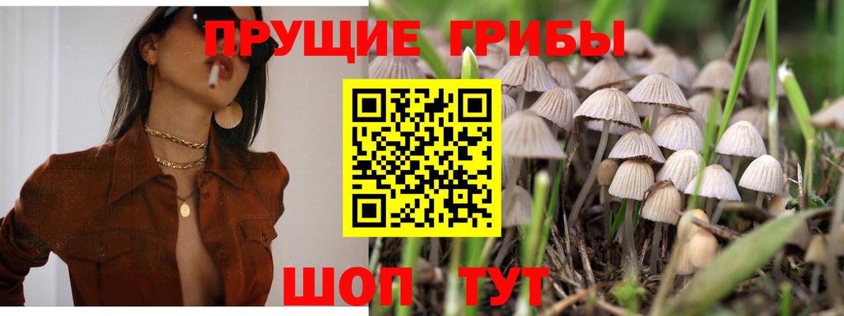 Галлюциногенные грибы прущие грибы  Вход с VPN  Елец  Псилоцибиновые грибы мухоморы 